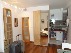 Paris Apartment2