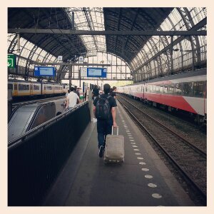 IMG_20130903_105252.jpg image