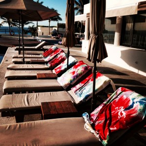 Photo Apr 10, 7 48 59 AM