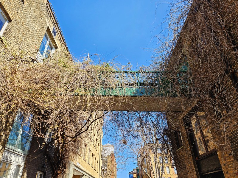 A view of a bridge over a narrow street, partially covered in vines, with a clear blue sky in the background.